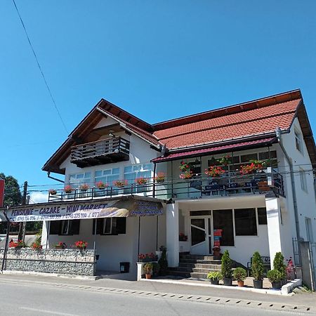 Pensiunea Rominvest Borşa Exterior foto