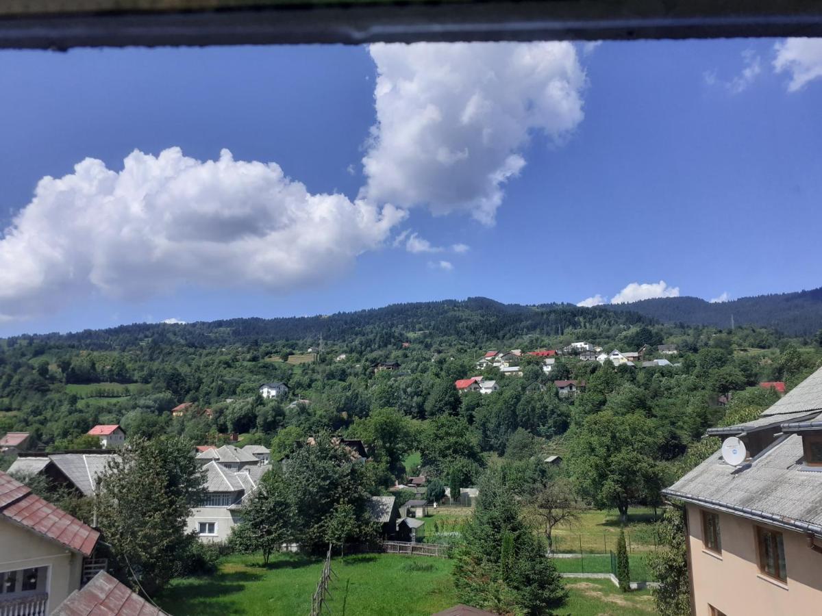 Pensiunea Rominvest Borşa Exterior foto