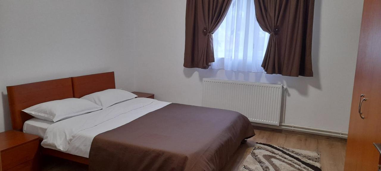 Pensiunea Rominvest Borşa Exterior foto