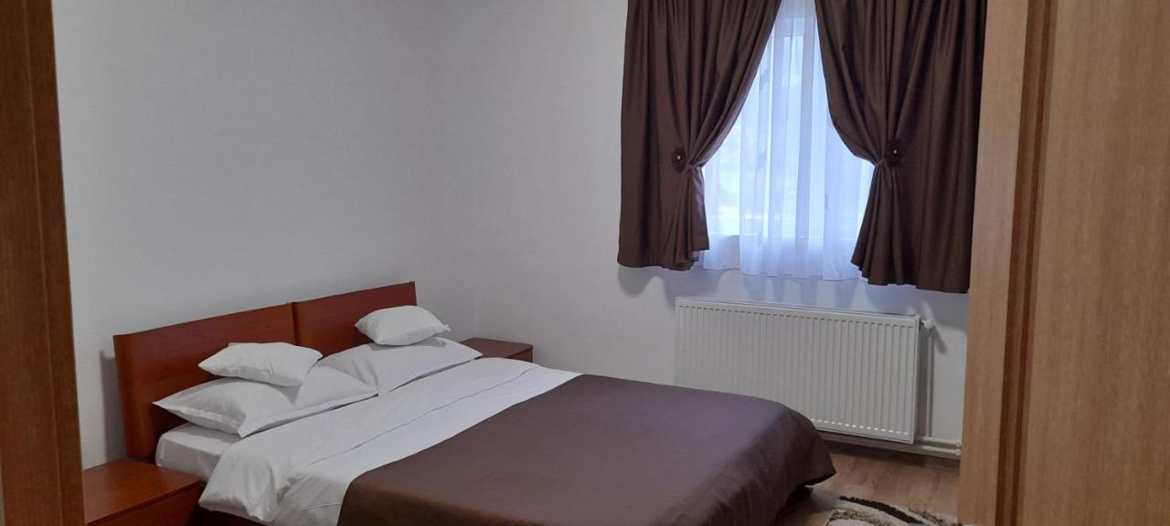 Pensiunea Rominvest Borşa Exterior foto