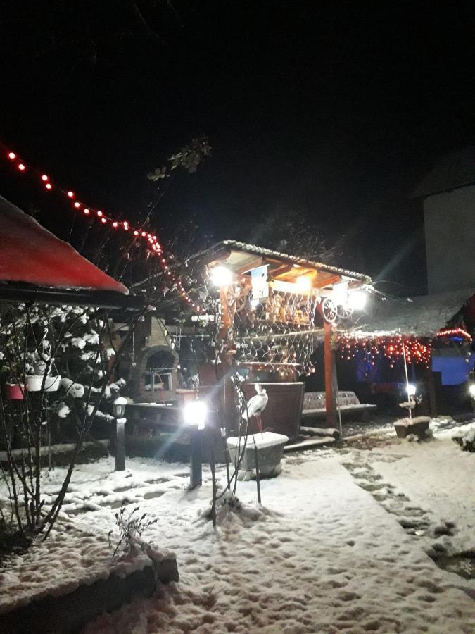Pensiunea Rominvest Borşa Exterior foto