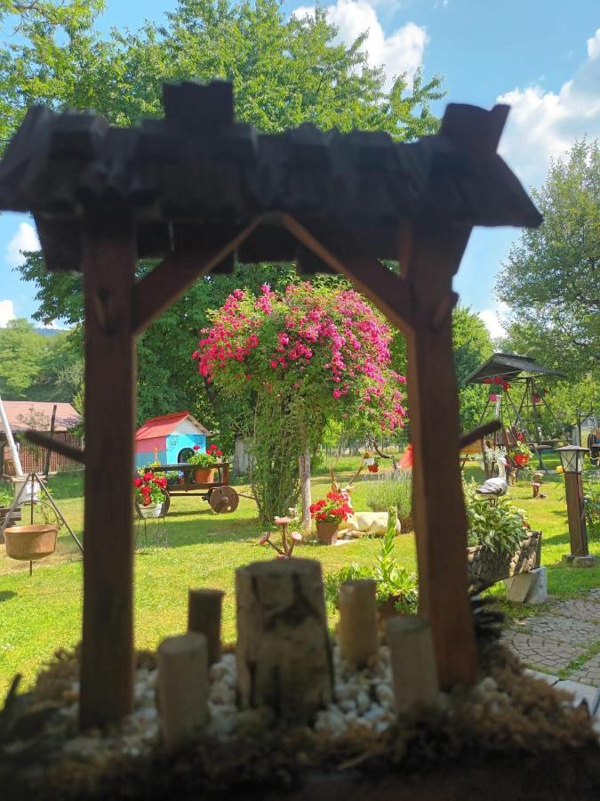 Pensiunea Rominvest Borşa Exterior foto