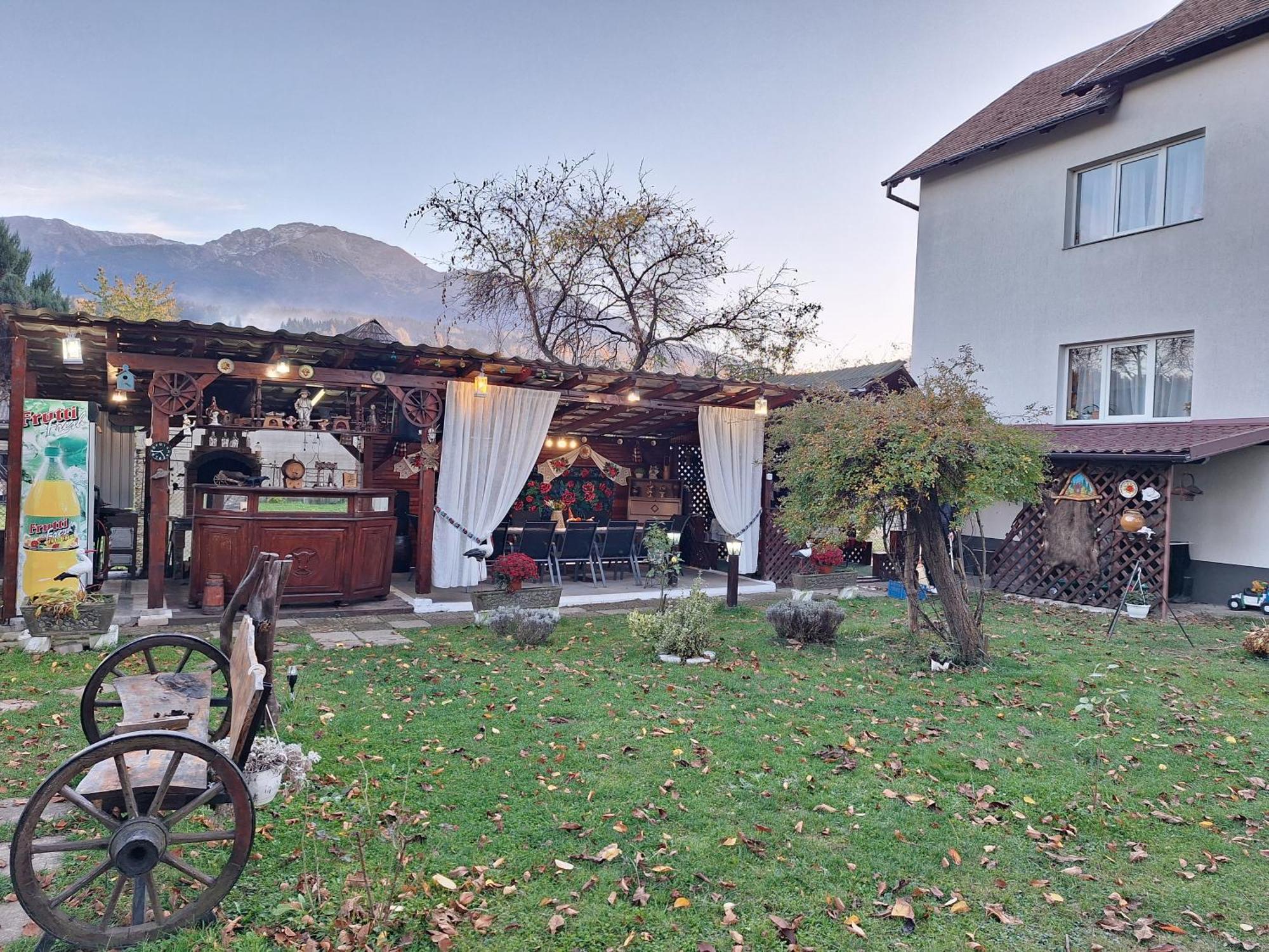 Pensiunea Rominvest Borşa Exterior foto