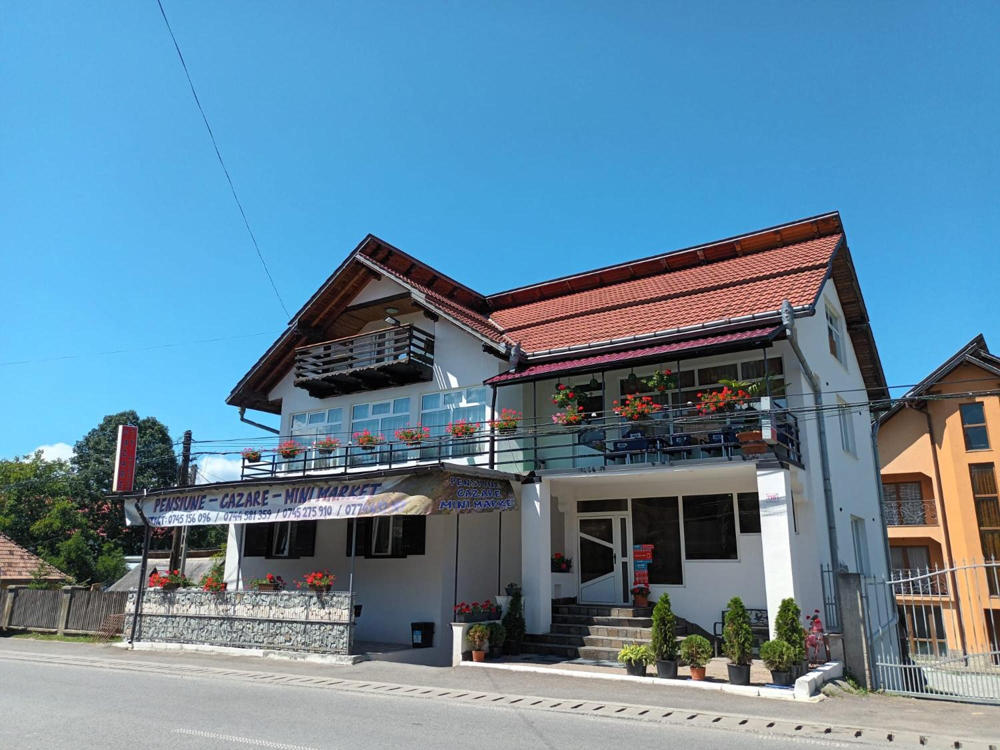 Pensiunea Rominvest Borşa Exterior foto